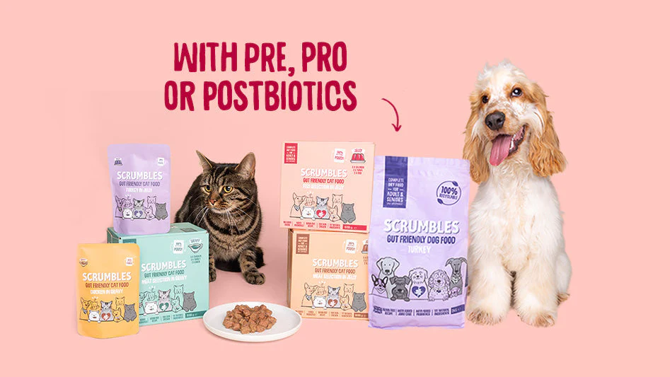 Love Your Pet's Gut Health
