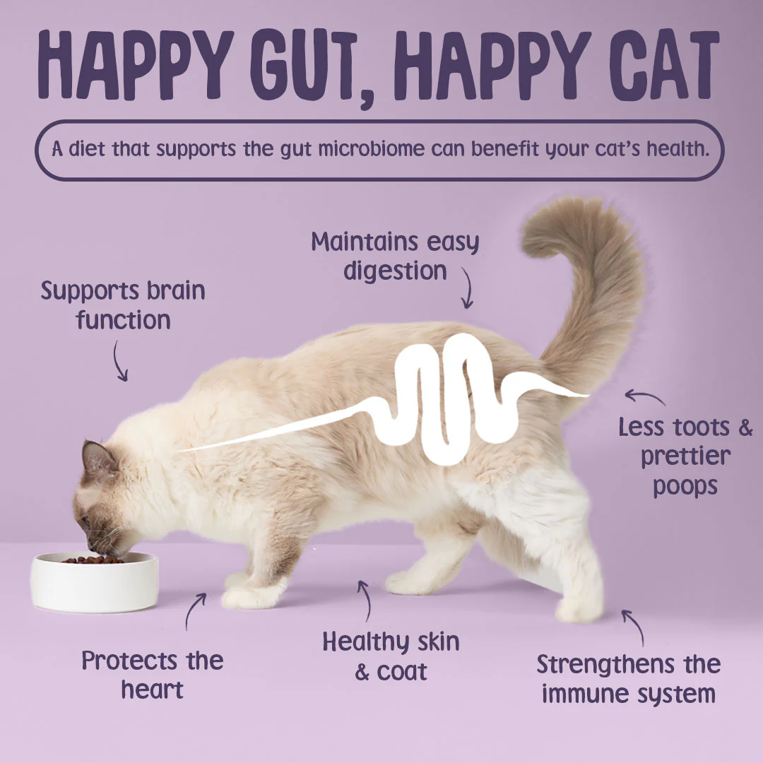 Sensitive+ Grain Free Dry Cat Food - Image 8