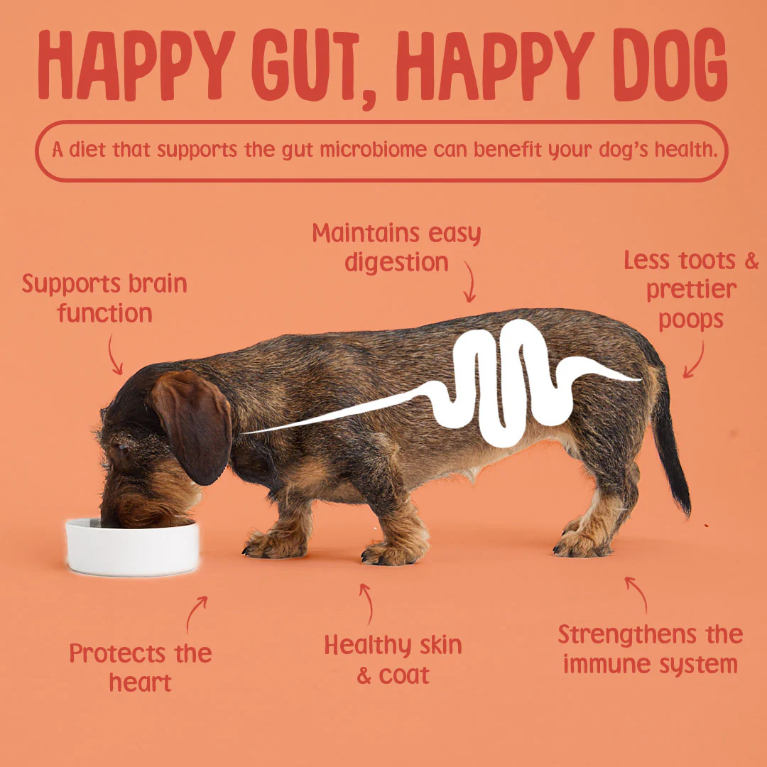 Softies: Chicken & Duck Dog Training Treats - Image 6
